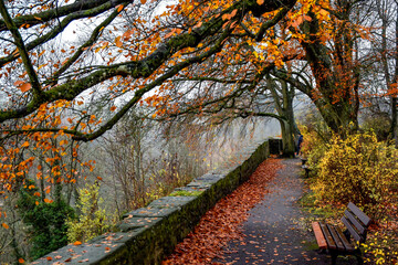Autumn park with golden leaves in old town Rothenburg ob der Tauber, Bavaria, Germany. November 2014