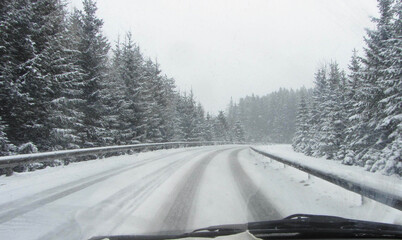 snowy country road in winter