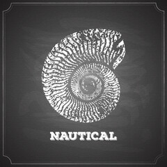 nautical nautilus logo chalk painted on chalkboard vector illustration icon
