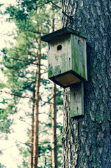 Vintage wooden birdhouse on a tree in a forest