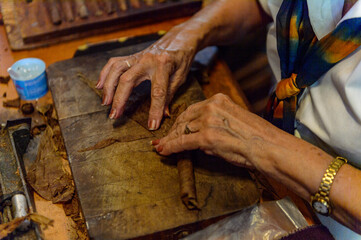 Cuban cigars manufacturing rolling process