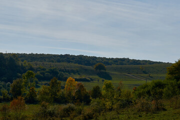 Fototapeta na wymiar Autumn landscape with blue sky and forest