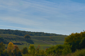 Obraz premium Autumn landscape with blue sky and forest
