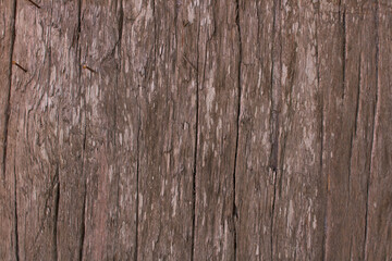 grunge old wood texture background