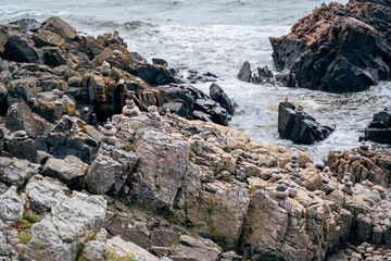 Wild rocky coast on Kullen peninsula in western Sweden, Skane