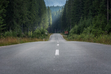 Straight empty long asphalt countryside road between spruce forest trees. Amazing forest landscape,...