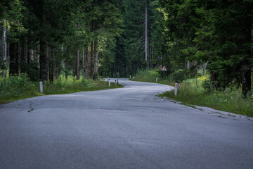 Fototapeta premium Low angle curved asphalt countryside road in forest. Spruce tress in summer season. Idyllic nature, traveling and exploring 