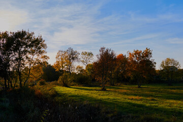 Fototapeta na wymiar Autumn landscape with colorful trees