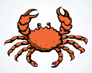 Big sea crab. Vector drawing