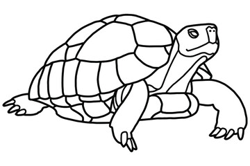 Graphic Indian star tortoise drawn in line art style isolated on white background. Geochelone elegans. Rare turtle pet. Coloring book page design for adults and kids