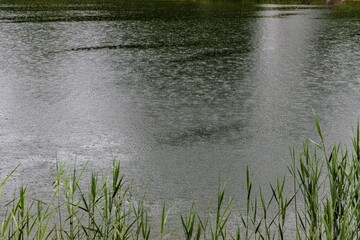 water drops on on a lake