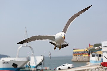 한국 인천시 월미도 입니다
