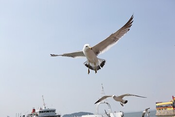 한국 인천시 월미도 입니다