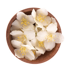 heap of white jasmine flowers in wooden cup isolated on white background. top view