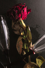 dried rose red high contrast in a dark key with two flat champagne glasses loneliness on a black background. close up. copy space flat lay