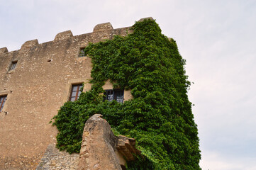 Fototapeta na wymiar Ventana castillo con vegetación