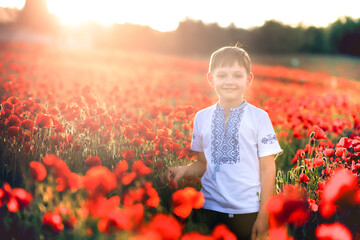 Cute child boy in a poppy field. Very happy child in poppy field.