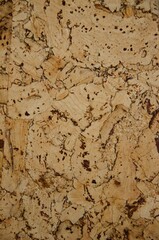 Cork wood texture, cork wood wallpaper for interior.