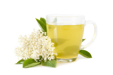 Domestic Organic herbal tea with elder flower (Sambucus nigra) isolated on a white background