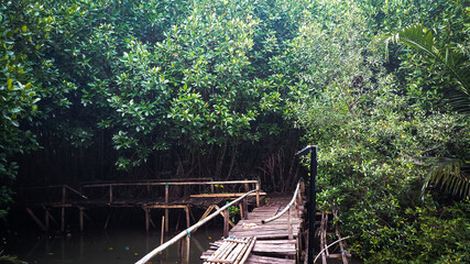 wooden bridge in the forest