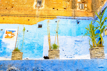 It's Blue walls of the houses of Chefchaouen, Morocco.