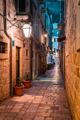 Historic town of Dubrovnik at twilight, Dalmatia, Croatia