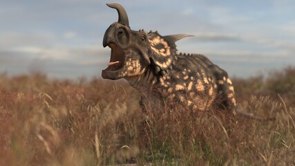 herbivorous, reptile, animal, einiosaurus, dinosaur, paleontology, jurassic, cretaceous, ceratopsian, white, illustration, isolated, dino, monster, beast, dangerous, monstrous, palaeontology, colossal