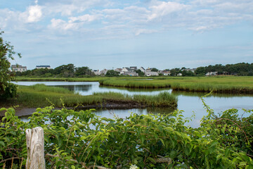 Serene water of the Bass River in Yarmouth, Cape Cod passing through the green reeds of a tidal marsh on a clear summer day during tourist season.