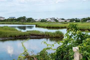 Fototapeta na wymiar Water serenely flowing past the salt marshes on Cape Cod in Massachusetts during summertime.