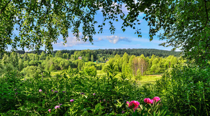 View through the trees foliage and flowers on a rustic sunny summer landscape with dense forest on hill at background. Sunlight and shadows - beauty and freshness of rural sumertime nature