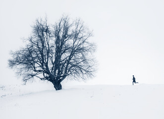 women running to meet a tree in a winter scene