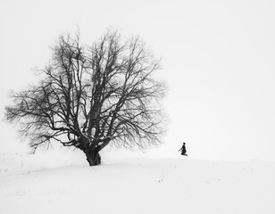 woman praying in front  a huge tree in a winter scene