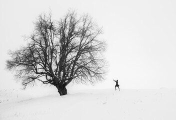 winter scene with a lonely linden tree in the snow and a human companion dancing