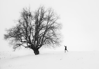 lonely tree in snow and a lonely human