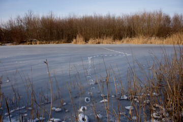winter scene with animal footprint on frozen lake