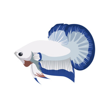 Betta Blue Rim Logo Vector Illustration