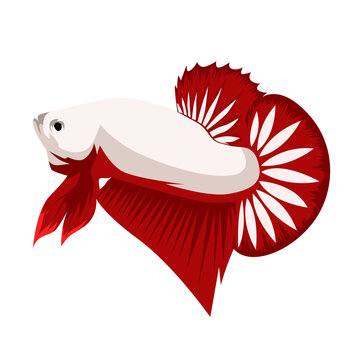 129 Best Logo Fish Images Stock Photos Vectors Adobe Stock 129 Best Logo Fish Images Stock Photos Vectors Adobe Stock