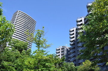 Fototapeta premium 大規模マンション 中庭