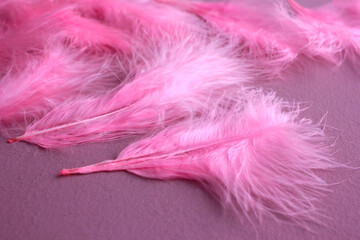 Pink boa background of purple feathers in art deco retro burlesque carnival