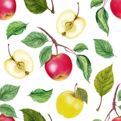 Watercolor botanical illustration of red and yellow realistic apple with leaves seamless pattern