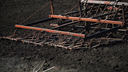 The tractor cultivates and cuts furrows in the field. Tractor work in the black soil field in the...