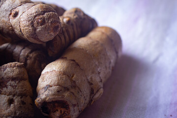 View of turmeric roots (also known as curcuma longa)