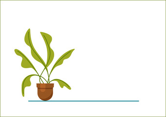 House plant isolated. Vector flat house plant pot illustration