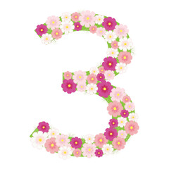 秋桜 コスモス 数字 3