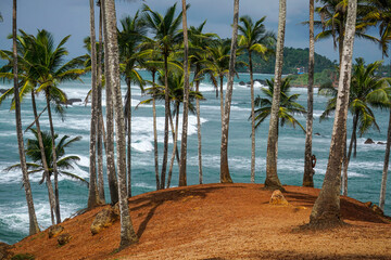 View to coconut hill in Sri Lanka in Mirissa, hill with coconut trees and ocean on background