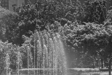 fountain in the park