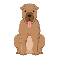 Illustration of sitting shar pei dog cartoon on white background