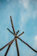 Branches teepee against the sky close up