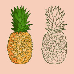 Isolated pineapples. Graphic stylized drawing. Vector illustration.