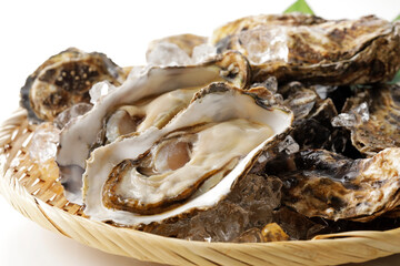 生牡蠣の盛り合わせ(北海道厚岸産)　Oyster platter